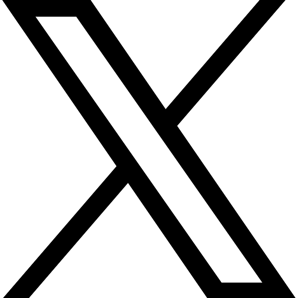 X公司