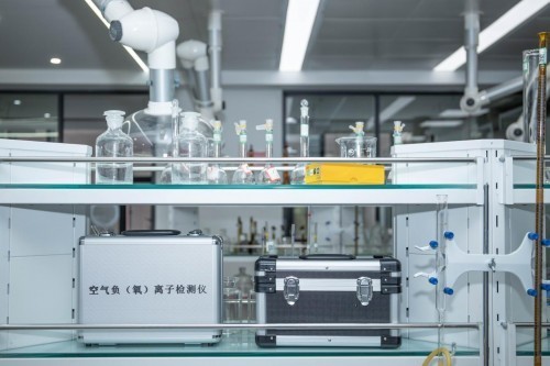 揭秘大王椰斩获2024“沸腾质量奖”背后的匠心创造