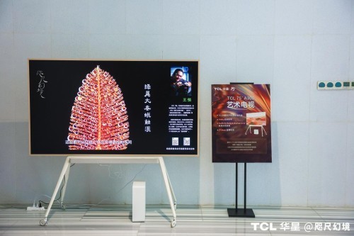 《咫尺幻境·巨幅超微昆虫摄影展》圆满落幕，TCL华星显示科技刷新视界认知